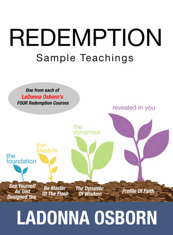 Redemption Series Sample Teachings - DVD (4)