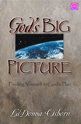 God's Big Picture - Digital Book