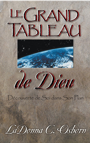 God's Big Picture - Digital Book | French