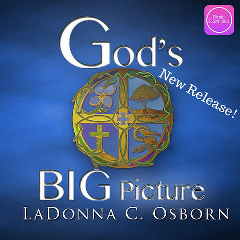 God's Big Picture - Digital Audio