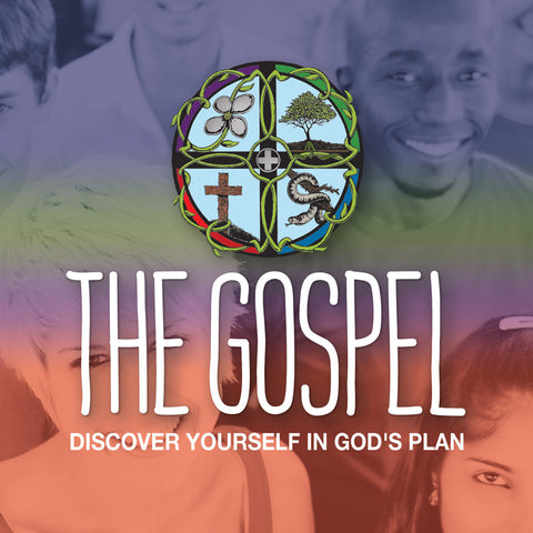 The Gospel - Soul Winning Tool - Paperback