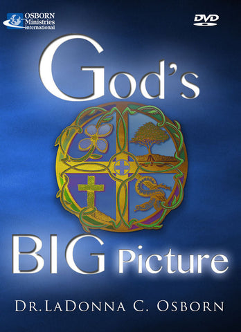 God's Big Picture - DVD (4)